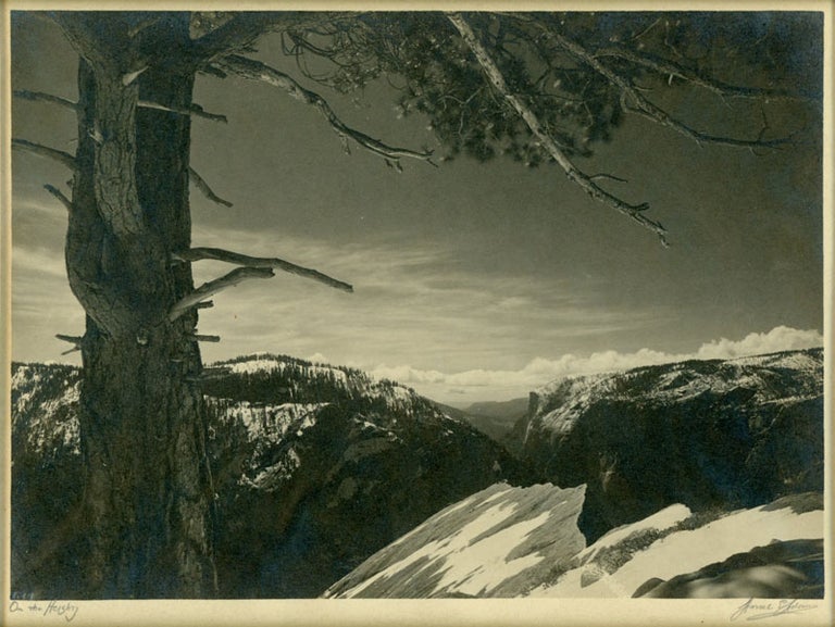 (#151594) [Yosemite Valley] South Rim, Yosemite. Original photograph: Parmelian print. ANSEL EASTON ADAMS.