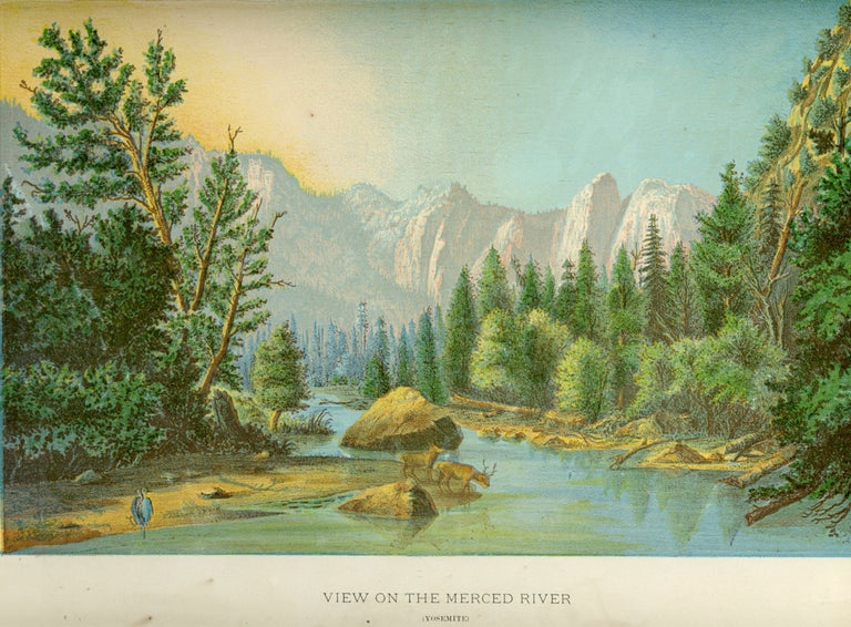 (#151601) View on the Merced River (Yosemite). UNIDENTIFIED ARTIST.