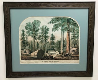 #151607) The mammoth trees of California. (Calaveras County.) (Sequoia gigantea.) Presented to...