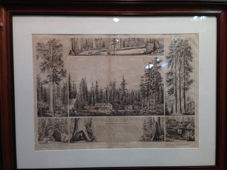 (#154611) The Mammoth Tree Grove, Calaveras County California. Lapham & Haynes prop.rs ... Sketched from nature by T. A. Ayres, 1855. Printed by Britton & Rey. Drawn on stone by Kuchel & Dresel, 176 Clay St. S. F. Entered according to Act of Congress, in the year 1855, by T. A. Ayres, in the Clerk's Office of the U.S. District Court for the Northern District of Cal. THOMAS A. AYRES.