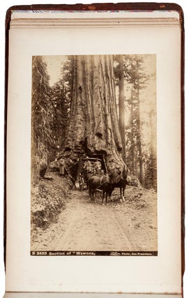 #157198) Views of California. 46 albumen cabinet photographs, circa 1880s-1890s. ISAIAH WEST TABER
