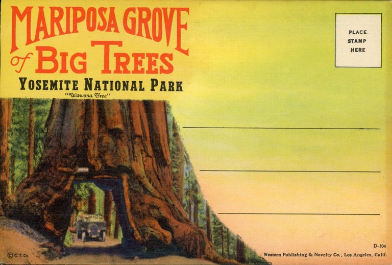 (#164928) Mariposa Grove of big trees Yosemite National Park ... [envelope title]. WESTERN PUBLISHING AND NOVELTY COMPANY.