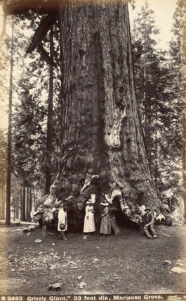 #164940) [Mariposa Grove] "Grizzly Giant," 33 feet dia, Mariposa Grove. Albumen photograph....