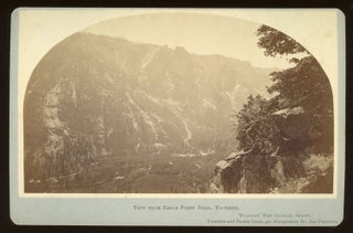 #164949) [Yosemite Valley] View from Eagle Point Trail, Yosemite. Albumen print. CARLETON E. WATKINS