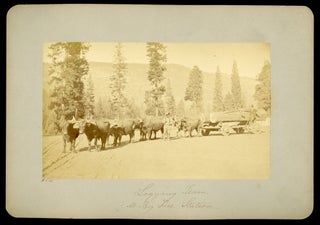 #165053) [Yosemite; Wawona] "Logging team at Big Tree Station." Dry-plate photograph. GEORGE FISKE