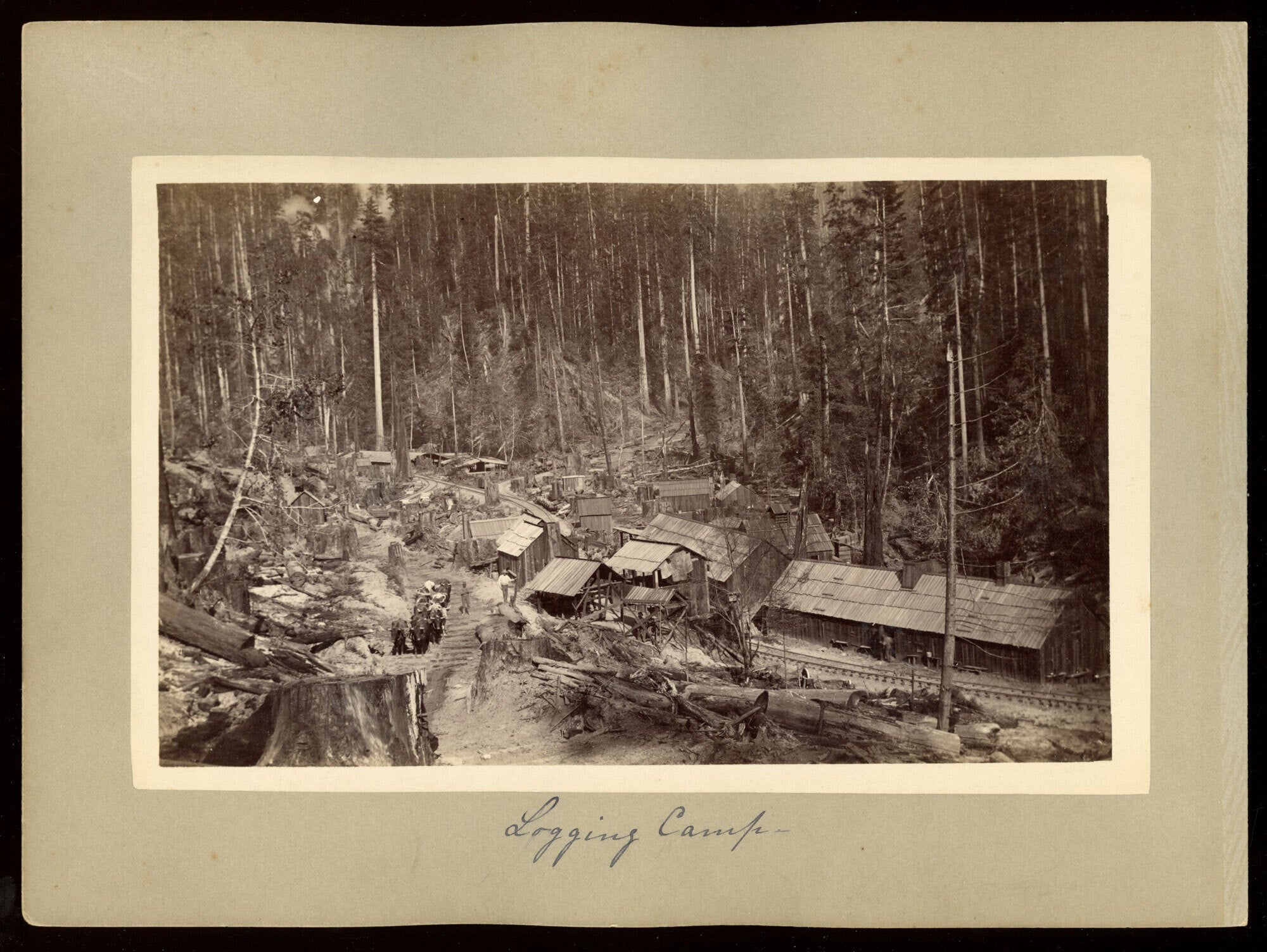 Logging Cap Old Logging Camps In Oregon