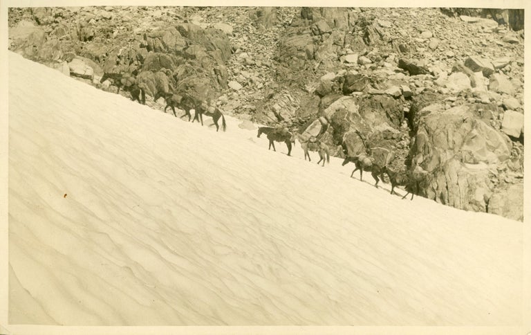 (#165061) [High Sierra] "The ascent of Muir Pass by the pack train of California Alpine Club. 1923." Gelatin silver print. ANONYMOUS PHOTOGRAPHER.