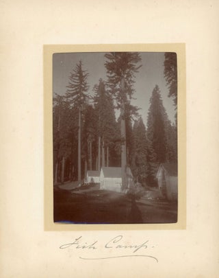 #165082) [Yosemite National Park] Album of photographs recording a vacation in Yosemite National...