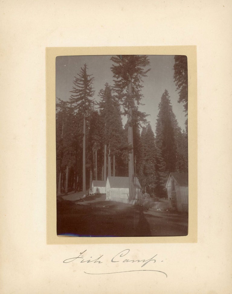 (#165082) [Yosemite National Park] Album of photographs recording a vacation in Yosemite National Park in 1902. ANONYMOUS PHOTOGRAPHER.