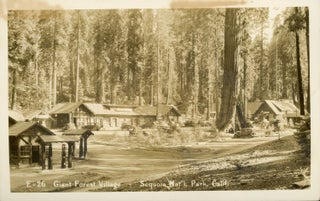 #165095) [Sequoia National Park] Giant Forest Village -- Sequoia National Park, Calif. No. E-26....