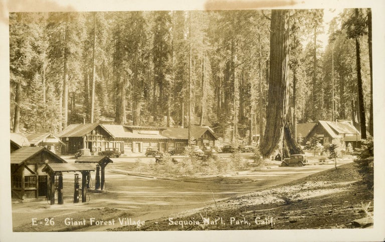 (#165095) [Sequoia National Park] Giant Forest Village -- Sequoia National Park, Calif. No. E-26. Real photo postcard (RPPC). ANONYMOUS PHOTOGRAPHER.