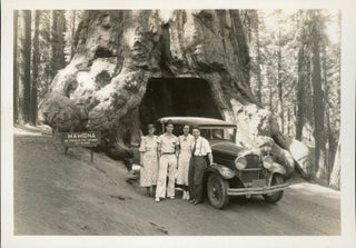 #165100) [Mariposa Grove] "Wawona" and tourist party [title supplied]. YOSEMITE PARK, CURRY CO