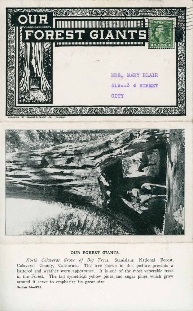 (#165103) Our forest giants [caption title]. EDWARD C. PLUME, CO.
