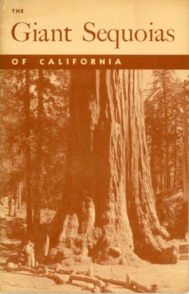 #165107) The giant sequoias of California by Lawrence F. Cook. LAWRENCE F. COOK
