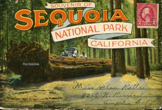 #165118) Souvenir of Sequoia National Park California ... [folder title]. LINDLEY EDDY STUDIOS