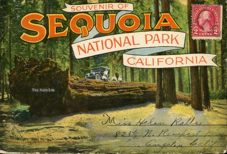 (#165118) Souvenir of Sequoia National Park California ... [folder title]. LINDLEY EDDY STUDIOS.