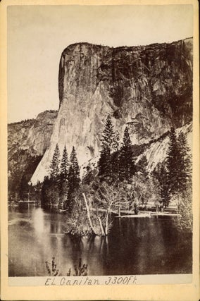[Yosemite Valley] Yo-Semite-Valley California by Gustavus Fagersteen [portfolio title]. Portfolio with 12 albumen prints of Yosemite Valley and the Mariposa Big Tree Grove, and one albumen print of the Monterey Peninsula.
