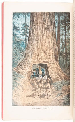 Beauties of California copyright 1883, by N. W. Griswold. Views and descriptions of Yosemite Valley, big trees, geysers, Lake Tahoe, Donner Lake, San Francisco, '49 & '83, Los Angeles, and towns, orange groves and vineyards of Southern California.