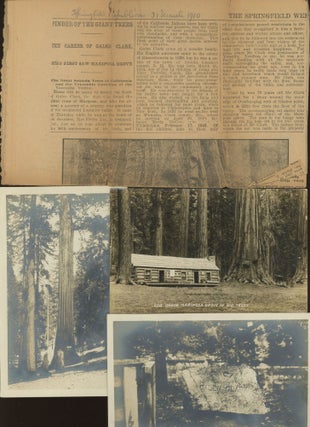 The Big Trees of California: their history and characteristics by Galen Clark ...