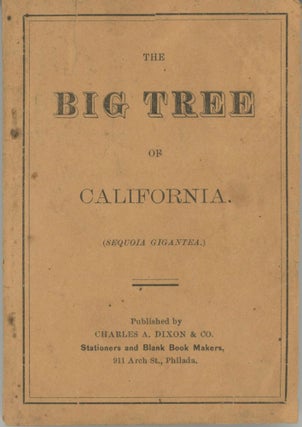#166146) The Big Tree of California. (Sequoia gigantea.) [cover title]. MARTIN VIVIAN
