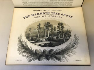 #166220) The Mammoth Tree Grove Calaveras County, California. And its avenues. Typographical work...