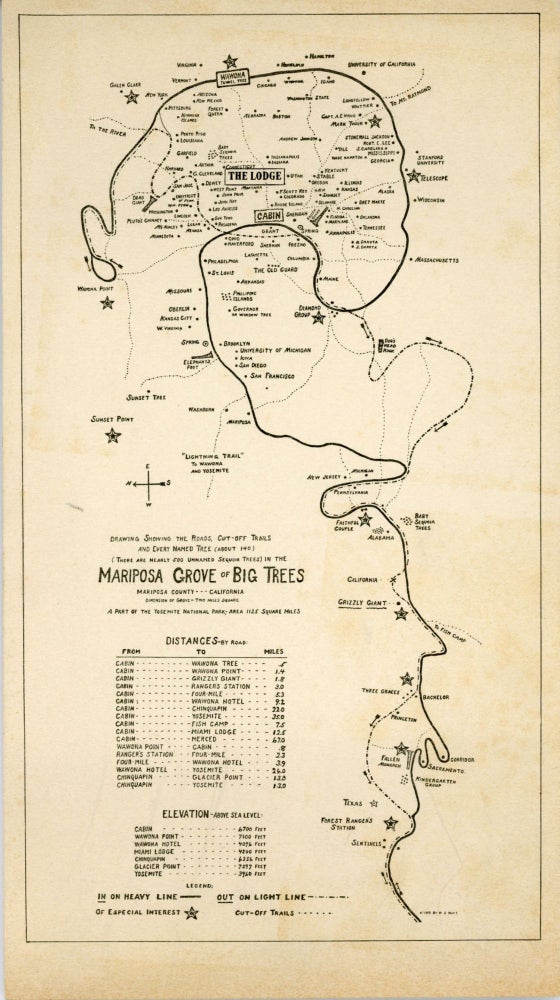 (#166298) Drawing showing the roads, cut-off trails and every named tree (about 140) (there are nearly 500 unnamed trees) in the Mariposa Grove of Big Trees Mariposa County - - -California dimension of grove - two miles square a part of Yosemite National Park, - area 1125 square miles ... [map title]. H. S. HOYT.