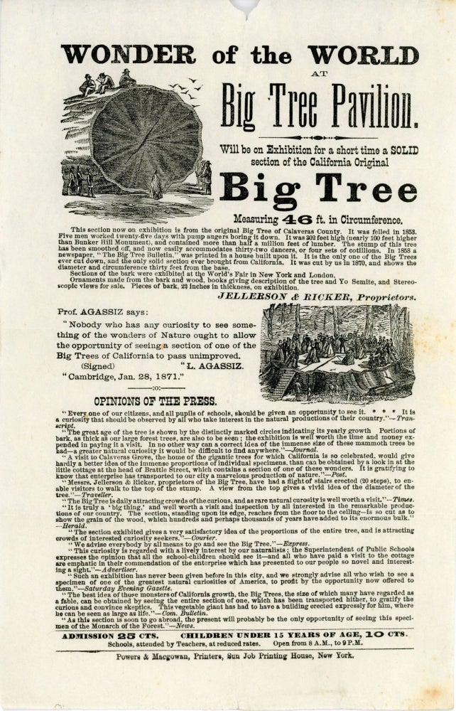 (#166315) Wonder of the world at Big Tree Pavilion. Will be on exhibition for a short time a solid section of the California original big tree measuring 46 ft. in circumference. JELLERSON, PROPRIETORS RICKER.