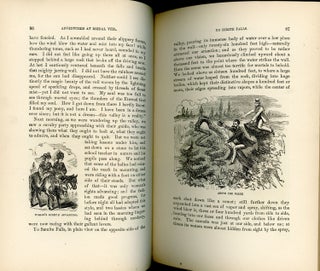 Through dust and foam: or travels, sight-seeing, and adventure by land and sea in the Far West and Far East. By R. & G. D. Hook. Illustrated by over 200 original engravings. Published by subscription only.