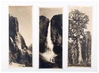 #166646) [Yosemite Valley; Mariposa Grove] Three photographs: El Capitan; Upper Yosemite Falls;...