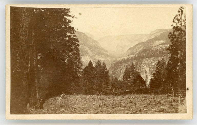 (#166655) [Yosemite Valley] "1102. The Yo-Semite Valley, from the Coulterville Trail, Mariposa County." Albumen print. HOUSEWORTH, THOMAS CO., publishers.