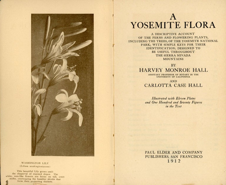 (#166810) A Yosemite flora[.] A descriptive account of the ferns and flowering plants, including the trees, of the Yosemite National Park; with simple keys for their identification; designed to be useful throughout the Sierra Nevada mountains by Harvey Monroe Hall[,] Assistant Professor of Botany in the University of California[,] and Carlotta Case Hall[.] Illustrated with eleven plates and one hundred and seventy figures in the text. HARVEY MONROE HALL, CARLOTTA CASE HALL.