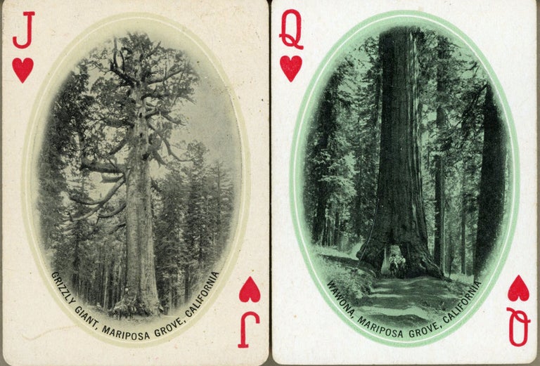 (#166922) (Yosemite; Mariposa Grove) Two playing cards, a jack with photograph of Grizzly Giant and a queen with photograph of Wawona, both giant Sequoias in the Mariposa Grove of Big Trees. SOUTHERN PACIFIC COMPANY.