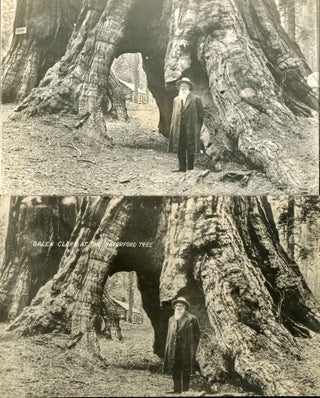 #166926) GALEN CLARK AT THE HAVERFORD TREE. [MARIPOSA GROVE OF BIG TREES.]. Galen Clark,...