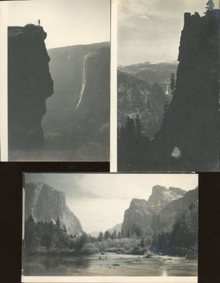 40 REAL PHOTO POSTCARDS OF YOSEMITE VALLEY AND THE MARIPOSA GROVE OF BIG TREES, PROBABLY TAKEN BY TAYLOR IN 1901, THE YEAR BEFORE HE ESTABLISHED "THE THREE ARROWS STUDIO" IN OLD VILLAGE.