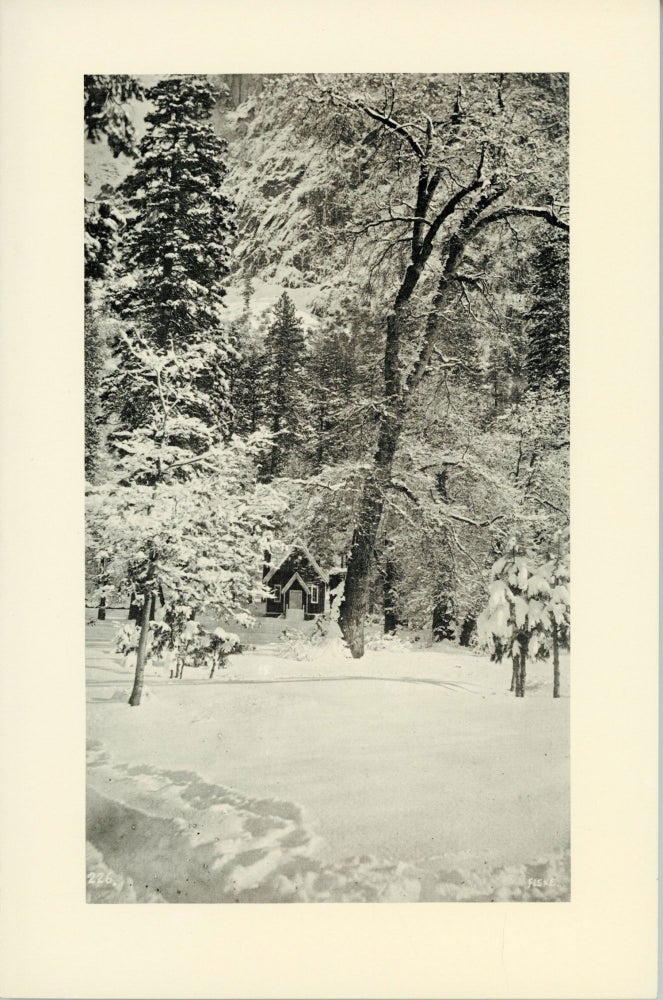 (#167009) Yosemite and the big trees catalogue 78. ALTA CALIFORNIA BOOKSTORE.