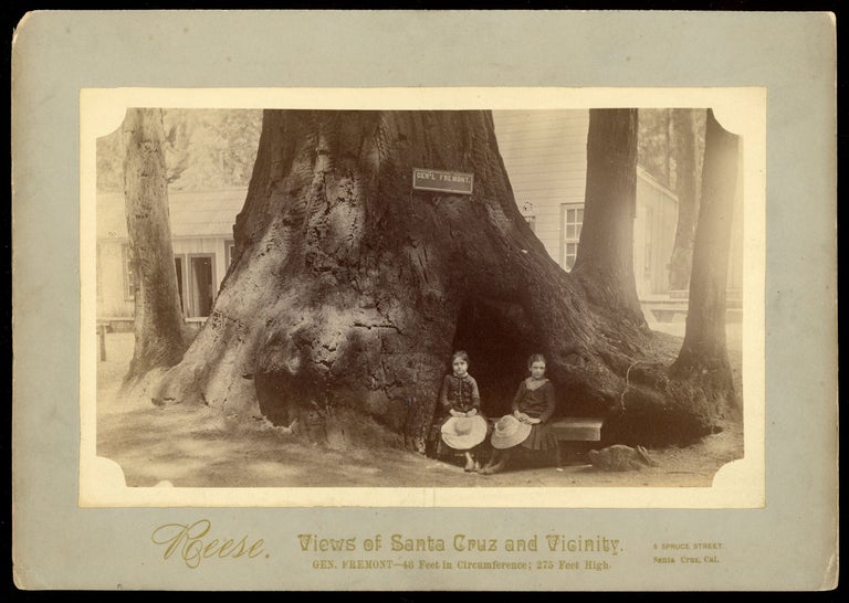 (#167105) VIEWS OF SANTA CRUZ AND VICINITY. GEN. FRÉMONT. -- 48 FEET IN CIRCUMFERENCE; 275 FEET HIGH. Albumen print. California, Santa Cruz County, Felton, Redwoods, Henry Cowell Redwoods State Park.