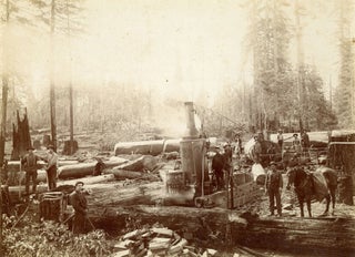 [Sierra Nevada; Sequoia National Forest; Converse Basin Grove?] TWO PHOTOGRAPHS OF LOGGING IN A GIANT SEQUOIA GROVE [title supplied]. Albumen prints.
