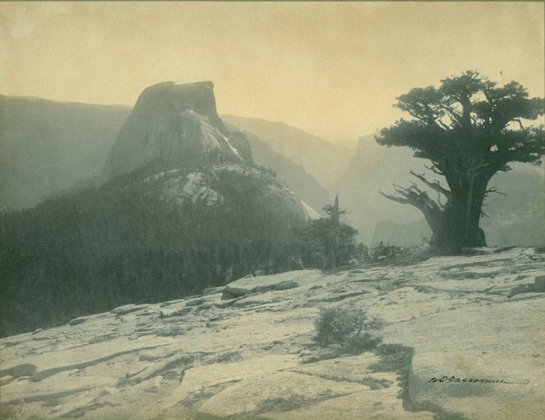 (#167288) Original photograph of Half Dome taken from Clouds Rest [title supplied]. WILLIAM EDWARD DASSONVILLE.