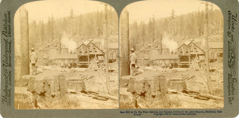 (#167652) Saw mill in the big tree district, and stumps of some of the giant Sequoias, Millwood, California. Stereoview. UNDERWOOD, PUBLISHER UNDERWOOD.
