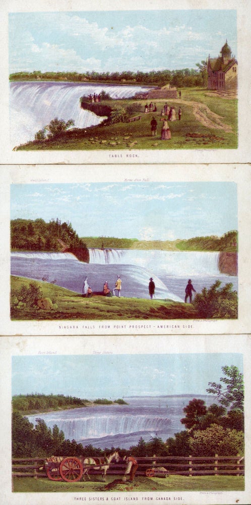 (#167709) FALLS OF NIAGARA AND THE VICINITY ... [cover title]. Niagara Falls, Nelson, Thomas Sons.