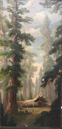 #167900) Big Trees, Calaveras Grove. After John R. Key. PRANG, L. CO., after JOHN ROSS KEY