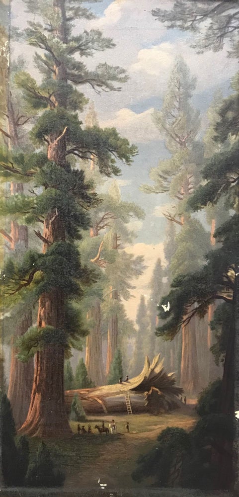 (#167900) Big Trees, Calaveras Grove. After John R. Key. PRANG, L. CO., after JOHN ROSS KEY.