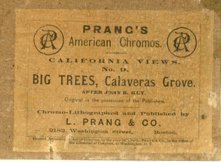 Big Trees, Calaveras Grove. After John R. Key.