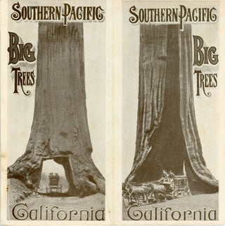 #168075) The big trees of California. ... [caption title]. SOUTHERN PACIFIC COMPANY