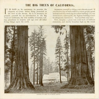 The big trees of California. ... [caption title].