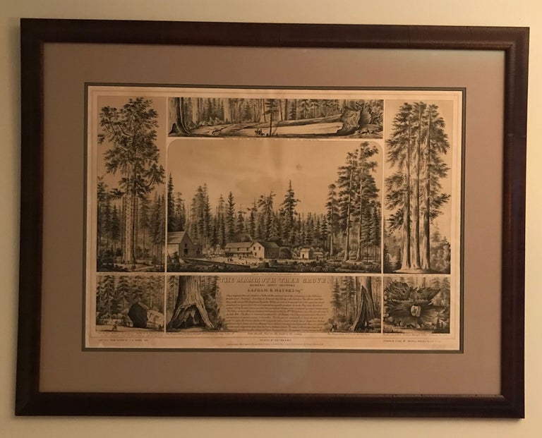 (#168430) The Mammoth Tree Grove, Calaveras County California. Lapham & Haynes prop.rs ... Sketched from nature by T. A. Ayres, 1855. Printed by Britton & Rey. Drawn on stone by Kuchel & Dresel, 176 Clay St. S. F. Entered according to Act of Congress, in the year 1855, by T. A. Ayres, in the Clerk's Office of the U.S. District Court for the Northern District of Cal. THOMAS A. AYRES.