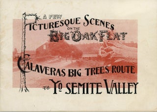 #168518) A few picturesque scenes on the Big Oak Flat and Calaveras big trees route to Yo Semite...