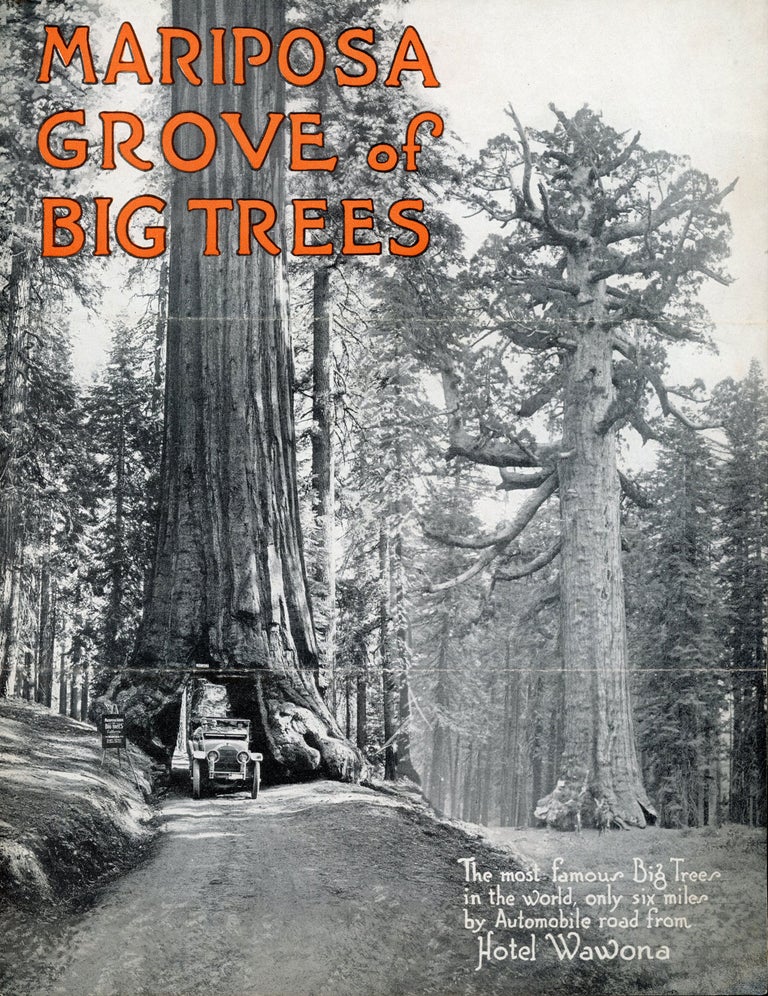 (#168917) Mariposa Grove of Big Trees the most famous Big Trees in the world, only six miles by automobile road from Hotel Wawona [cover title]. WAWONA HOTEL COMPANY.