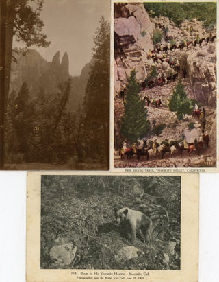 [Yosemite National Park] Approximately 43 postcards dating from the early twentieth century through the 1950s, including several duplicates.