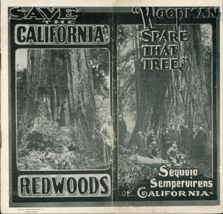 #170351) "WOODMAN SPARE THAT TREE" SEQUOIA SEMPERVIRENS OF CALIFORNIA[.] SAVE THE CALIFORNIA...